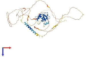 AlphaFold protein structure predicition of Mouse Recombinant Etv5 Protein, UniprotID Q9CXC9