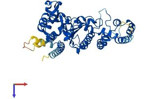 AlphaFold protein structure predicition of Human Recombinant PRIM1 Protein, UniprotID P49642