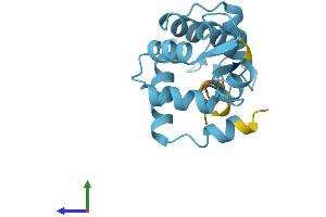 AlphaFold protein structure predicition of Human Recombinant TNNC1 Protein, UniprotID P63316