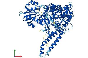 AlphaFold protein structure predicition of Human Recombinant VPS33A Protein, UniprotID Q96AX1