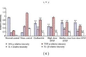 Mice were anesthetized and then infected intranasally by dropping 0.