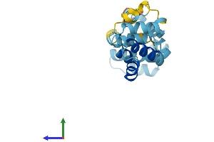 AlphaFold protein structure predicition of Mouse Recombinant Cradd Protein, UniprotID O88843