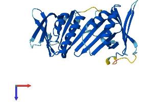 AlphaFold protein structure predicition of Human Recombinant HUS1B Protein, UniprotID Q8NHY5