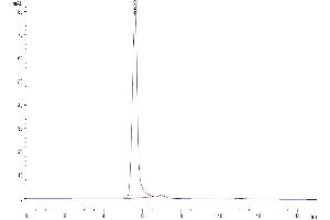 The purity of Mouse IFNAR1/IFN-alpha/beta R1 is greater than 95 % as determined by SEC-HPLC.