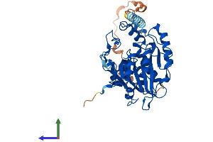 AlphaFold protein structure predicition of Human Recombinant B3GNT7 Protein, UniprotID Q8NFL0