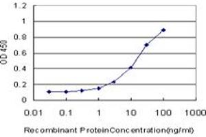 Detection limit for recombinant GST tagged CRKL is approximately 0.