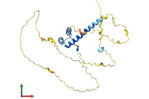 AlphaFold protein structure predicition of Mouse Recombinant Hmx2 Protein, UniprotID P43687