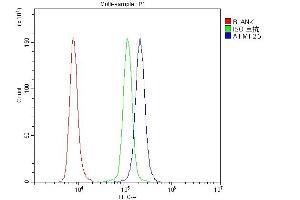 anti-Apoptosis-Inducing Factor, Mitochondrion-Associated, 1 (AIFM1) (AA 582-613), (C-Term) antibody