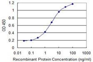 Detection limit for recombinant GST tagged PHF7 is 0. (PHF7 anticorps  (AA 258-357))