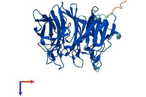 AlphaFold protein structure predicition of Human Recombinant KLHDC8B Protein, UniprotID Q8IXV7