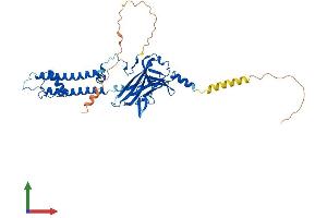 AlphaFold protein structure predicition of Mouse Recombinant Kcnj6 Protein, UniprotID P48542