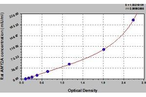 Typical Standard Curve (AMY2A Kit ELISA)