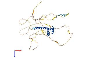 AlphaFold protein structure predicition of Mouse Recombinant Hoxa10 Protein, UniprotID P31310