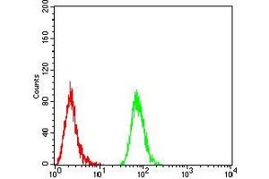 Flow cytometric analysis of Hela cells using BTN2A2 mouse mAb (green) and negative control (red).