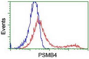 HEK293T cells transfected with either RC205723 overexpress plasmid (Red) or empty vector control plasmid (Blue) were immunostained by anti-PSMB4 antibody (ABIN2454987), and then analyzed by flow cytometry. (PSMB4 anticorps)