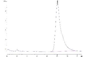 The purity of Mouse IL-17F is greater than 95 % as determined by SEC-HPLC.