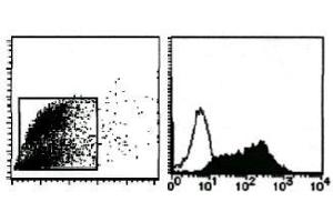 Flow Cytometry (FACS) image for anti-Milk Fat Globule-EGF Factor 8 Protein (MFGE8) antibody (ABIN1449192) (MFGE8 anticorps)