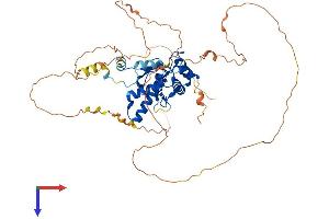 AlphaFold protein structure predicition of Mouse Recombinant Nfix Protein, UniprotID P70257