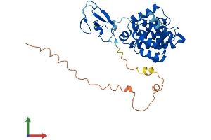 AlphaFold protein structure predicition of Mouse Recombinant Chn2 Protein, UniprotID Q80XD1
