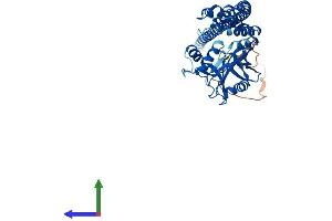 AlphaFold protein structure predicition of Mouse Recombinant Stambp Protein, UniprotID Q9CQ26