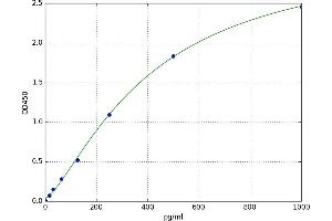 Insulin-Like 5 (INSL5) ELISA Kit