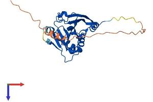 AlphaFold protein structure predicition of Human Recombinant EIF4E1B Protein, UniprotID A6NMX2
