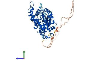 AlphaFold protein structure predicition of Human Recombinant GTDC1 Protein, UniprotID Q4AE62