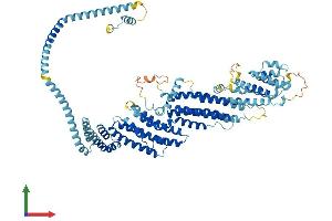 AlphaFold protein structure predicition of Mouse Recombinant Cog7 Protein, UniprotID Q3UM29