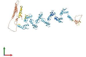 AlphaFold protein structure predicition of Human Recombinant ZNF225 Protein, UniprotID Q9UK10
