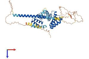 AlphaFold protein structure predicition of Human Recombinant RMDN3 Protein, UniprotID Q96TC7
