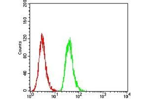 Flow cytometric analysis of A431 cells using TDP43 mouse mAb (green) and negative control (red).