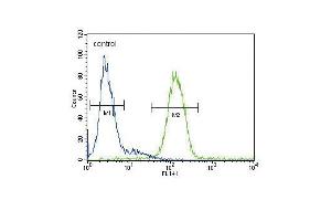 CP Antibody (Center) (ABIN391513 and ABIN2841474) flow cytometric analysis of HepG2 cells (right histogram) compared to a negative control cell (left histogram).