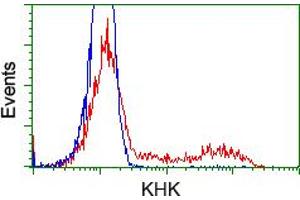 HEK293T cells transfected with either RC202424 overexpress plasmid (Red) or empty vector control plasmid (Blue) were immunostained by anti-KHK antibody (ABIN2453194), and then analyzed by flow cytometry. (Ketohexokinase anticorps)