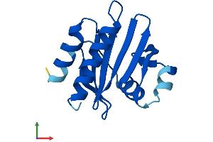 AlphaFold protein structure predicition of Human Recombinant PFN4 Protein, UniprotID Q8NHR9