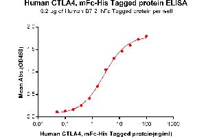 ELISA plate pre-coated by 2 μg/mL (100 μL/well) Human B7-2, hFc tagged protein ABIN6961159, ABIN7042347 and ABIN7042348 can bind Human C, mFc-His tagged protein (ABIN6961090, ABIN7042209 and ABIN7042210) in a linear range of 0.