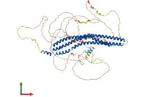 AlphaFold protein structure predicition of Human Recombinant MTSS1 Protein, UniprotID O43312
