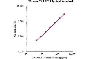 Calmodulin-Like 5 (CALML5) ELISA Kit