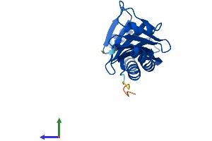 AlphaFold protein structure predicition of Mouse Recombinant Tbpl1 Protein, UniprotID P62340