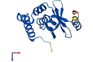 AlphaFold protein structure predicition of Human Recombinant ZSWIM7 Protein, UniprotID Q19AV6
