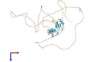 AlphaFold protein structure predicition of Human Recombinant SRSF4 Protein, UniprotID Q08170