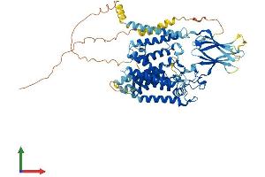AlphaFold protein structure predicition of Mouse Recombinant Hgsnat Protein, UniprotID Q3UDW8