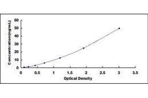 Placenta-Specific 9 (PLAC9) ELISA Kit