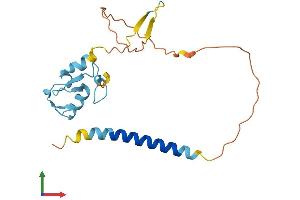 AlphaFold protein structure predicition of Mouse Recombinant Rnf152 Protein, UniprotID Q8BG47