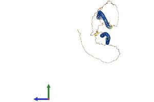 AlphaFold protein structure predicition of Human Recombinant SYNC Protein, UniprotID Q9H7C4