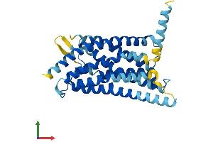 AlphaFold protein structure predicition of Mouse Recombinant Sucnr1 Protein, UniprotID Q99MT6