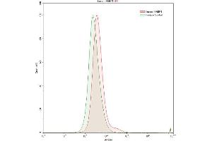 Detection of C1QBP in U937 human histiocytic lymphoma cell line using Polyclonal Antibody to Complement component 1 Q subcomponent-binding protein, mitochondrial (C1QBP)