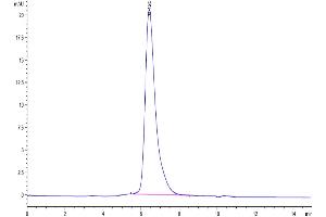 The purity of SARS-COV-2 Spike S1 NTD is greater than 95 % as determined by SEC-HPLC.