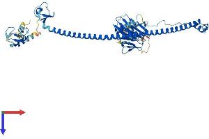AlphaFold protein structure predicition of Mouse Recombinant Trim6 Protein, UniprotID Q8BGE7