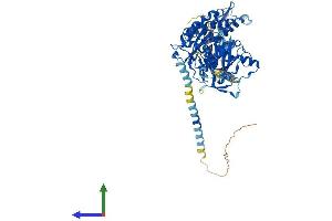 AlphaFold protein structure predicition of Human Recombinant ENTPD4 Protein, UniprotID Q9Y227