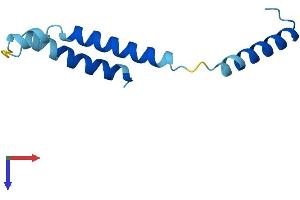 AlphaFold protein structure predicition of Human Recombinant DPM3 Protein, UniprotID Q9P2X0